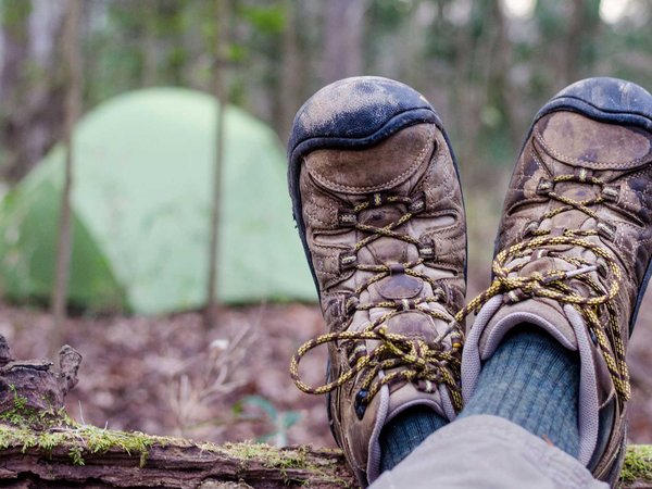 Best things to do in Congaree National Park