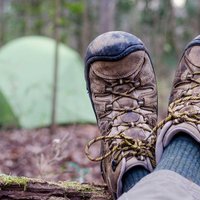 Best things to do in Congaree National Park