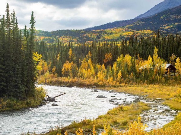 Scenic view of Savage river in Denali national park at fall
