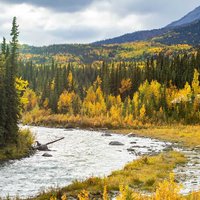 Denali is home to North America's tallest mountain, Mt. McKinley. Visitors can explore six million acres of wilderness, view wildlife, and go backpacking, mountaineering, and river rafting.