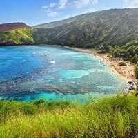 Best things to do in Dry Tortugas National Park