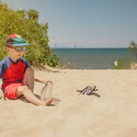 Hike the dunes and explore the many trails. Visit the visitor center and learn about the history and ecology of the dunes.