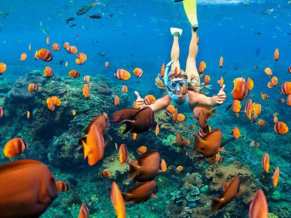 Girl in snorkeling mask dive underwater with coral reef fishes