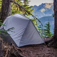 Backcountry camping in Rainforest at North Cascade Mountains in