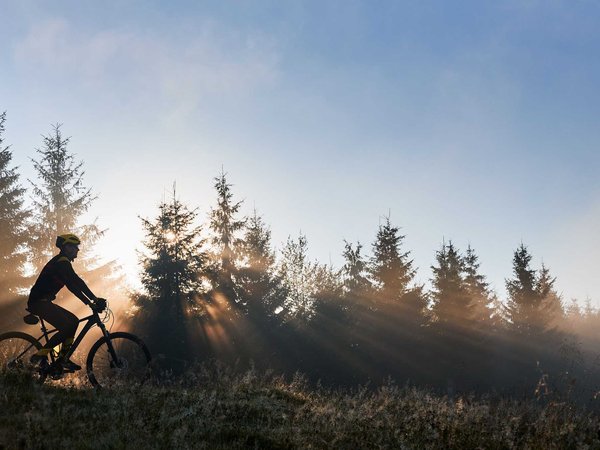 Male cyclist riding bicycle in the morning.
