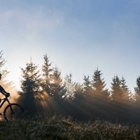 Male cyclist riding bicycle in the morning.