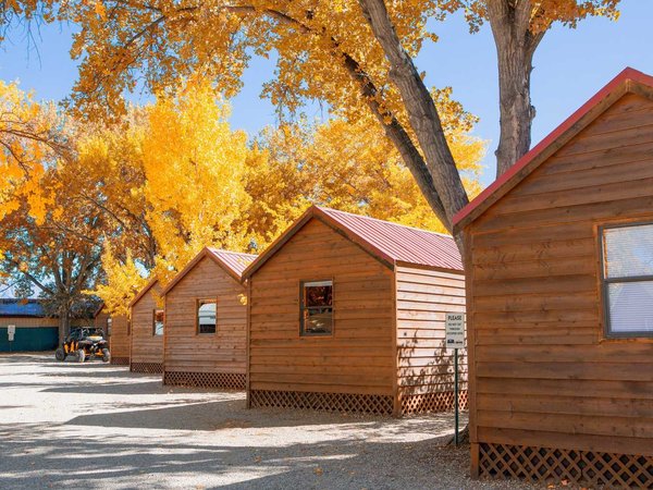 Log cabin in campground with autumn tree.