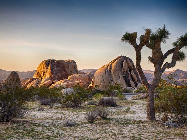 Joshua Tree National Park