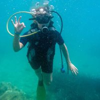 The best diving in a National Park is at the Great Barrier Reef. It's full of vibrant corals and colorful fish.