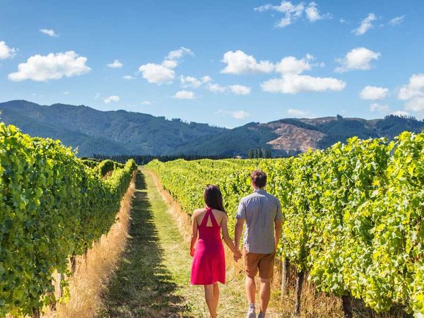 A couple walks through rows of grape vines on a private farm tour