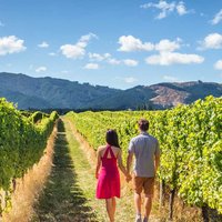 farm tours
