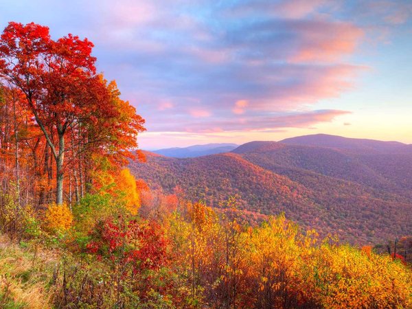Shenandoah
