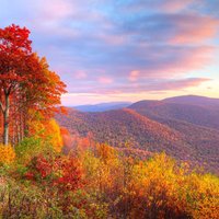 Shenandoah
