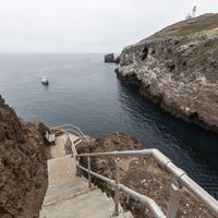Channel Islands National Park is one of the greatest National Parks to visit. With its dramatic cliffs, pristine beaches, and abundant wildlife, the park is a must-see for any nature lover.