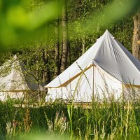 glamping popularity
