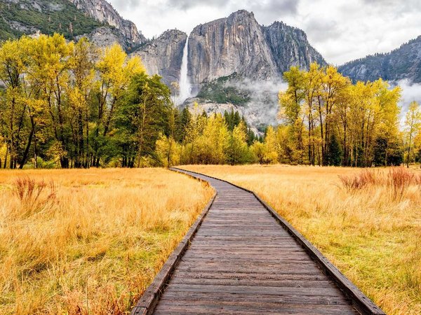 Meadow with boardwalk in Yosemite National Park Valley at autumn