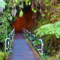 Hawaii Volcanoes National Park is one of the greatest National Parks to visit because of its active volcanoes, lush rain forests, and black sand beaches.