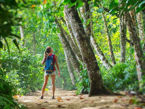 Looking on with amazement at the trees along the forest trail