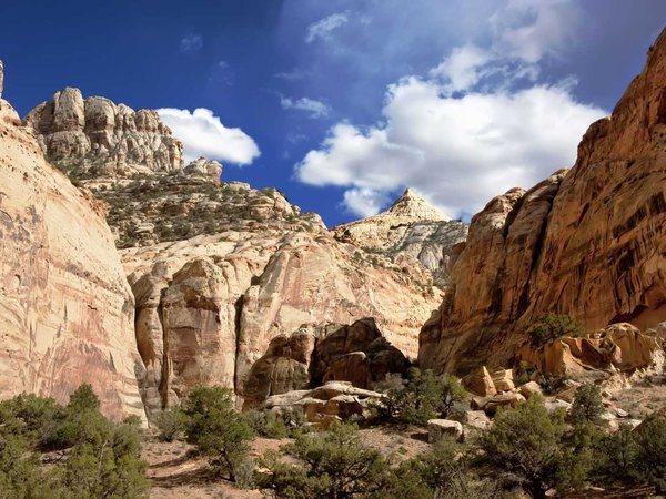 Capitol Reef National Park