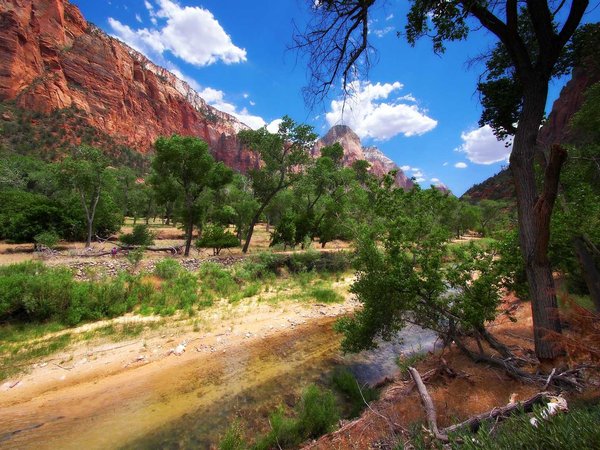 Zion National Park,Utah, USA