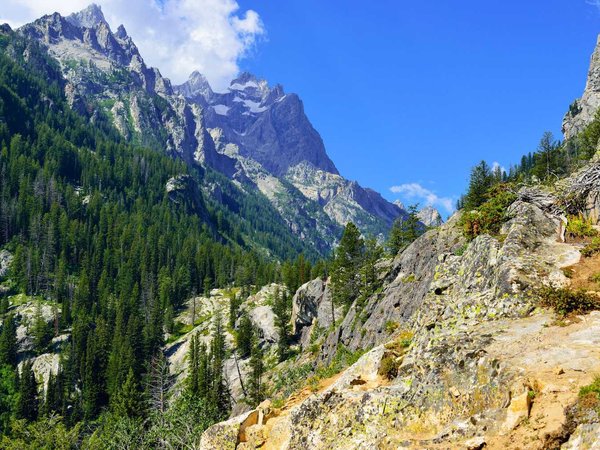 Mountains of the Grand Teton National Park near Jenny Lake, Wyoming in Summer