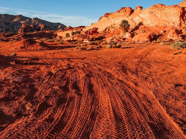 Tire Tracks
