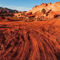 Tire Tracks