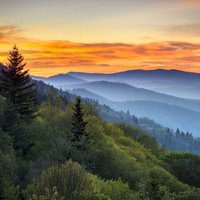 Hike to waterfalls and vistas. Drive through Cades Cove to view wildlife.