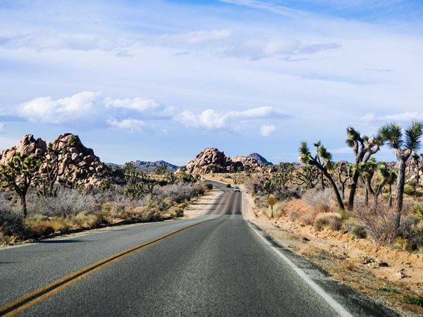 Driving on a paved road in Joshua Tree National Park, south California