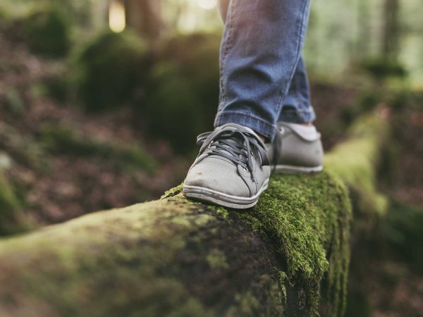 A curious child crosses a moss covered fallen log in the forest.