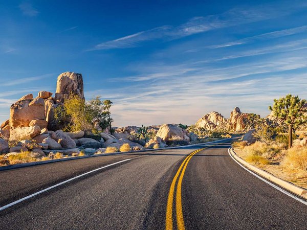 Joshua Tree National Park
