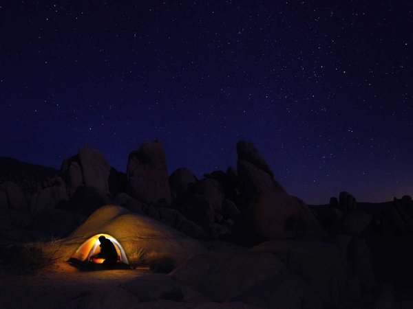 Night Camping in Joshua Tree National Park