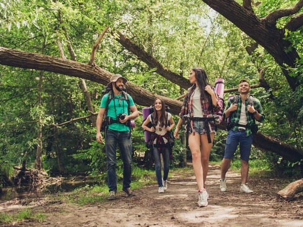 Trekking, camping and wild life concept. Two couples of friends are walking in the sunny spring woods, talking and laughing, all are excited and anxious, jungle trails