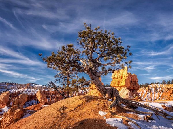 Popular types of activities in Bryce Canyon National Park