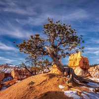 Hiking and camping are popular activities in Bryce Canyon National Park. The park is perfect for these activities because of its beautiful scenery and its many trails.