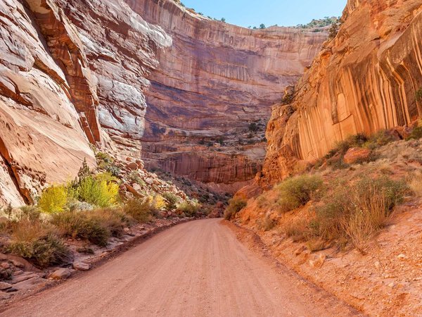 Popular types of activities in Capitol Reef National Park