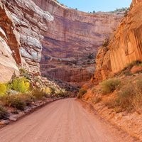 Popular types of activities in Capitol Reef National Park