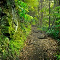Hawaii Volcanoes National Park is perfect for hiking and camping because of its many trails and its beautiful scenery.