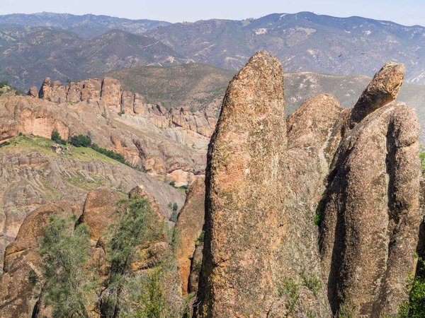 Popular types of activities in Pinnacles National Park