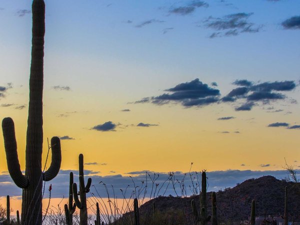 Popular types of activities in Saguaro National Park