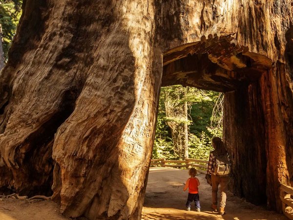 Popular types of activities in Sequoia National Park