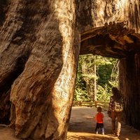 Popular types of activities in Sequoia National Park