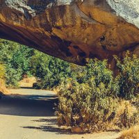 There are many popular activities in Yosemite National Park, such as hiking, camping, fishing, and rock climbing. The park is perfect for these activities because of its beautiful scenery and its many trails and lakes.