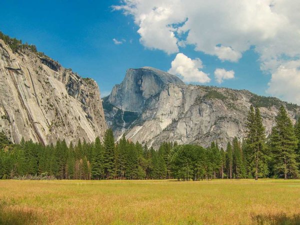 View of Half Dome from Yosemite Valley, Cook's meadow trail, Yosemite NP, California, USA. Near Landmarks: Yosemite Falls, Glacier Point, El Capitam.