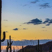 This National Park is a must-see! The Saguaro cacti are incredible and there are so many hiking trails to explore.