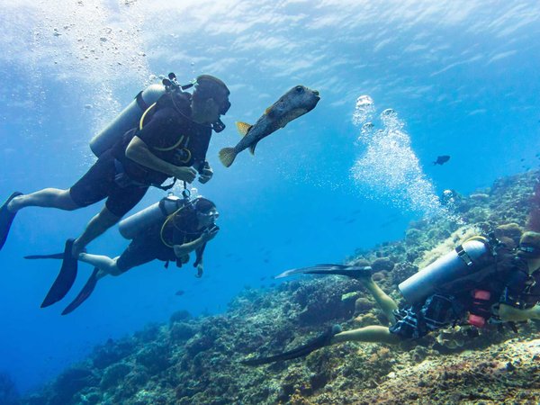 Tourists take time on their vacation to go scuba diving with a guide