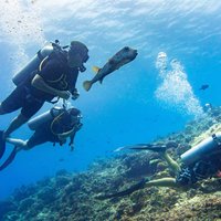 scuba diving