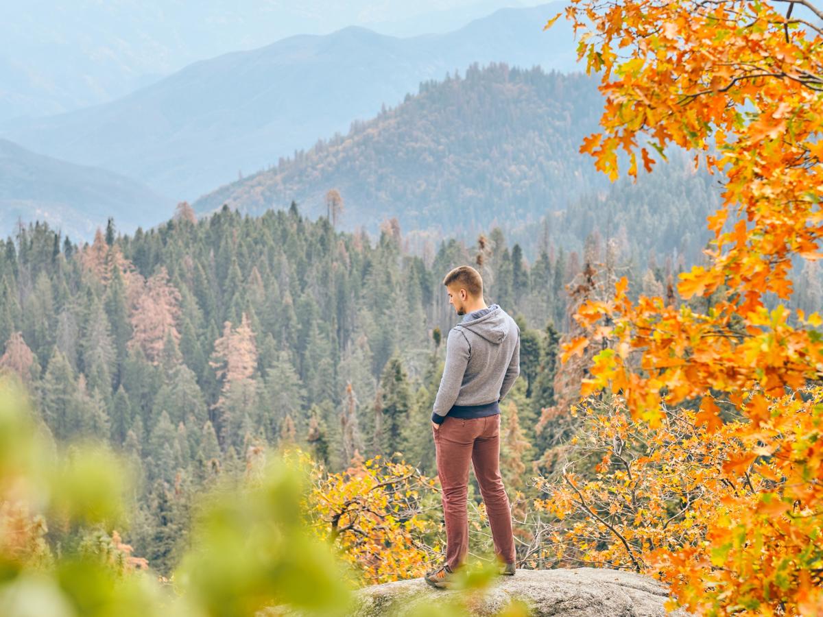A hiker on a granite outcrop looking across Sequoia National Park, framed by golden autumn oak leaves