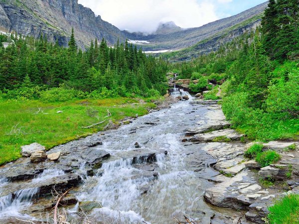 mountain stream on a high alpine trail in glacier national park