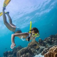 Snorkeling